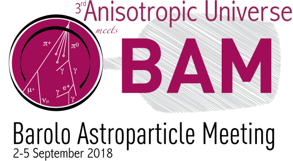 A BAM in the Anisotropic Universe
