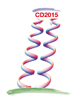 The 8th International Workshop on Chiral Dynamics 2015