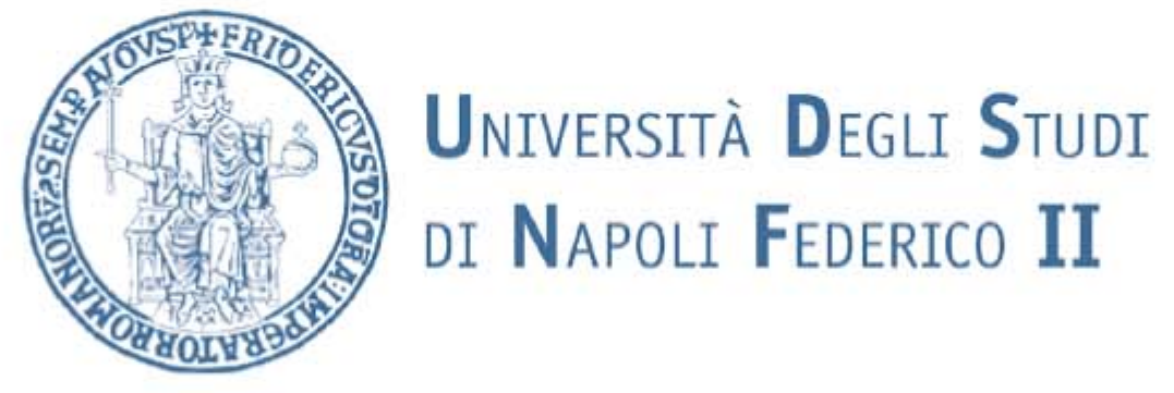 University of Napoli