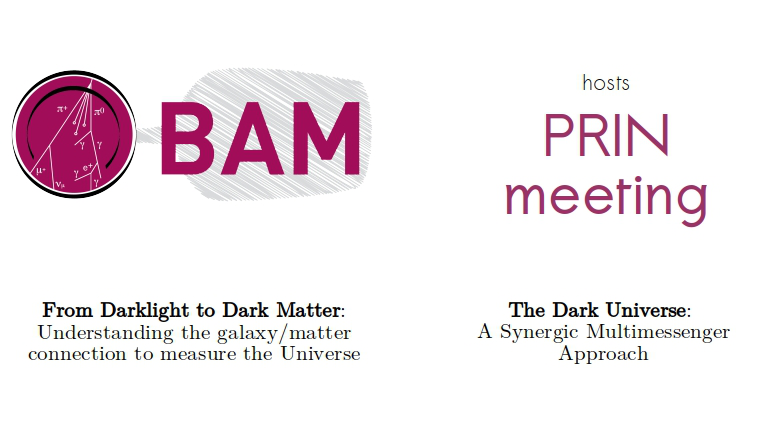 PRIN meeting: in the Dark Universe, from Darklight to Dark Matter