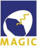 Magic Pulsar Meeting