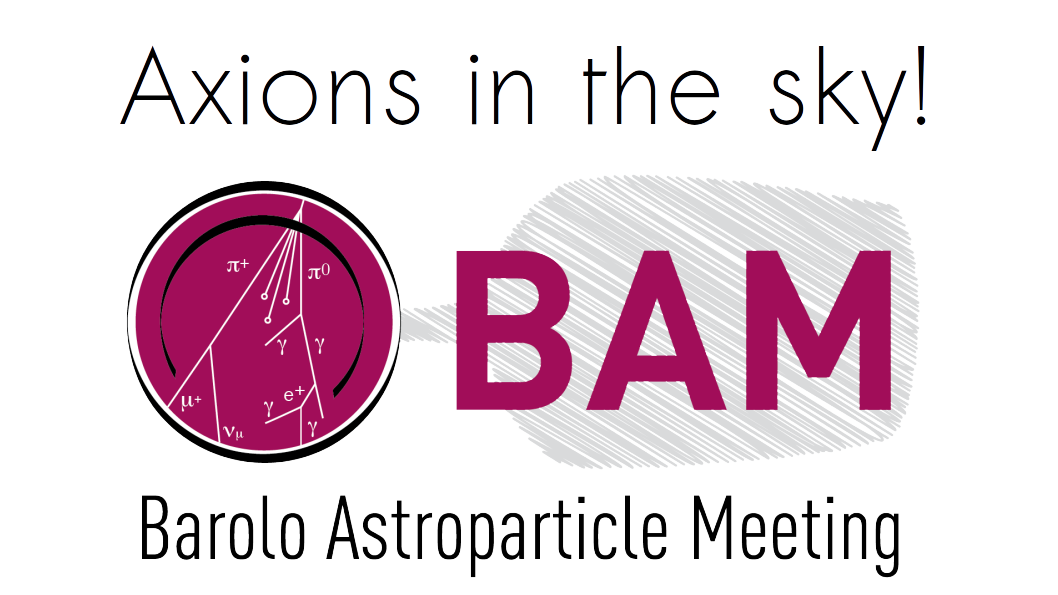 BAM: Axions in the sky!