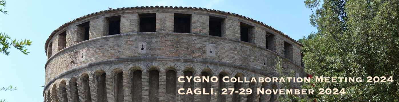 CYGNO Collaboration Meeting 2024