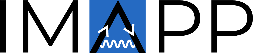 Advanced Methods in Particle Physics -  Graduation 2025
