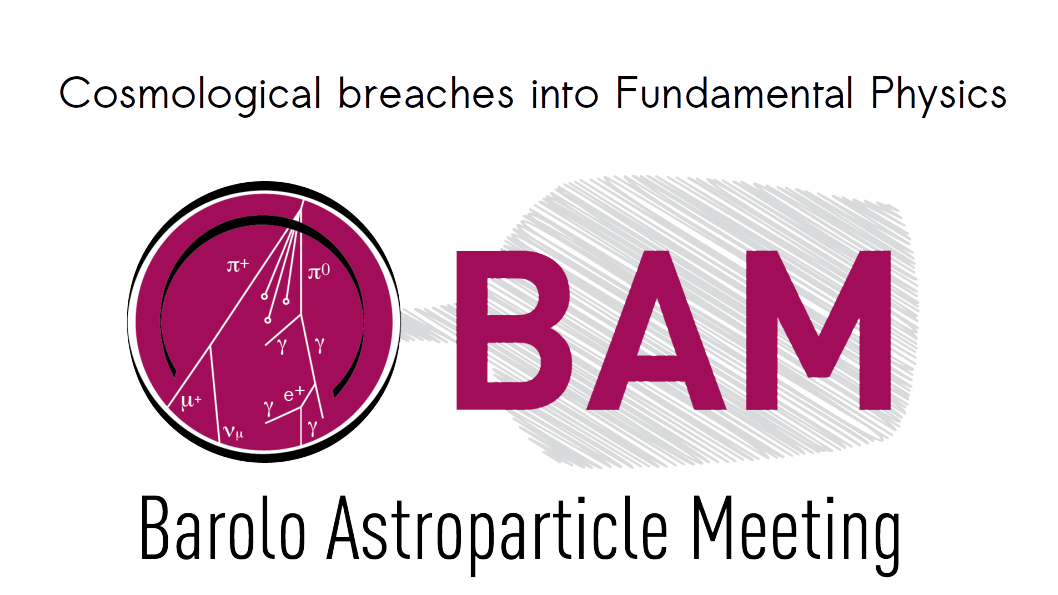 BAM: Cosmological breaches into Fundamental Physics