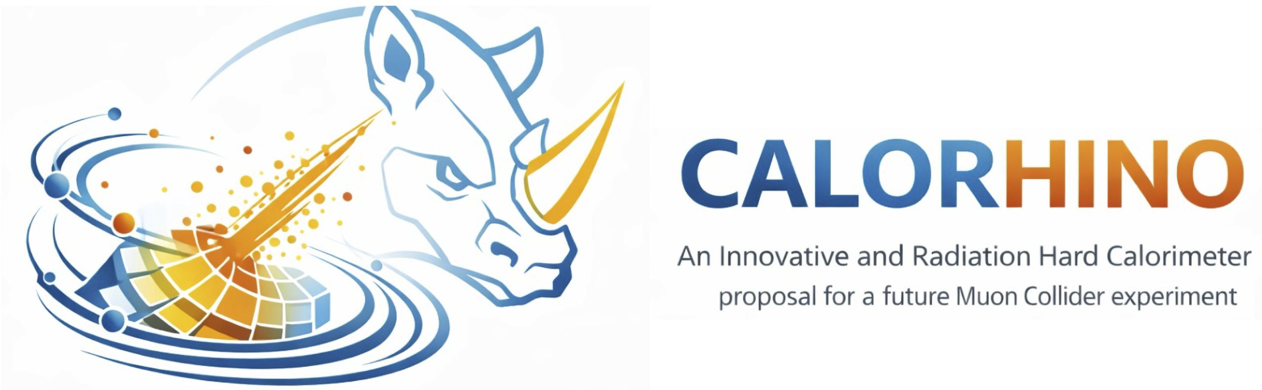 CALORHINO Final Meeting