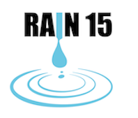 RAIN15 -- RAdiazione per l'INnovazione 2015